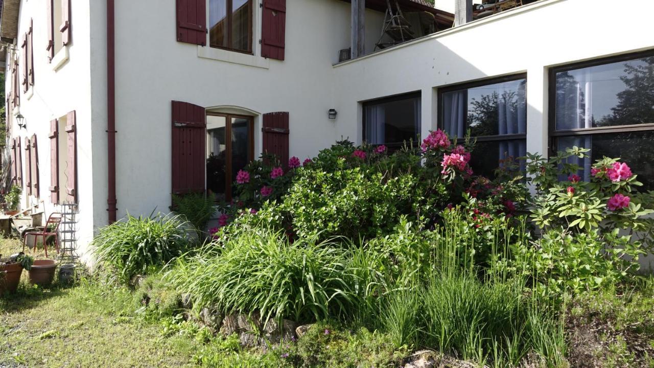 Bed and Breakfast Le Jolis Bois Raon-l'Etape Екстер'єр фото